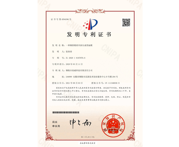  一种铜排精密冷挤压成型扁模